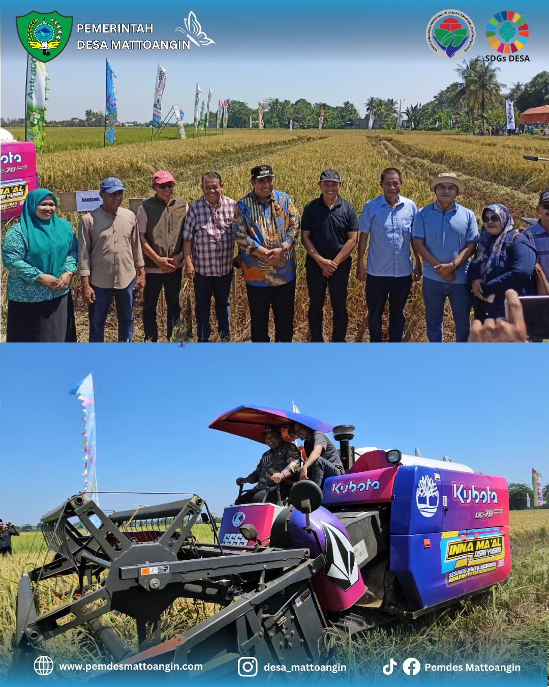 Pesta Panen Raya Padi Desa Mattoangin